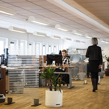 AI Agents / Virtual Assistants